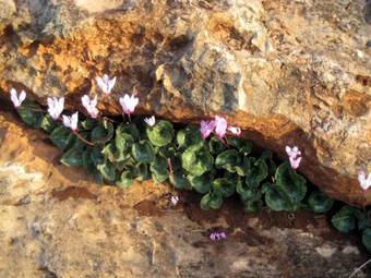 Honny - Boutique Hotel