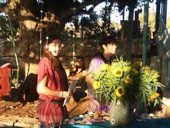 Back To Nature Via The Bible