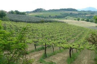 Magliano Sabina Villa Sleeps 16 Pool Wifi