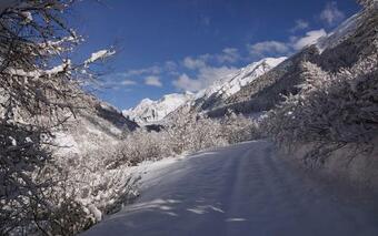 Apartamento Pritscheshof Ferienwohnung Terrasse
