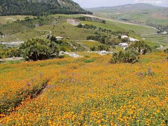 Apartamento Studio In Marsala With Shared Pool Enclosed Garden And Wifi 250 M From The Beach