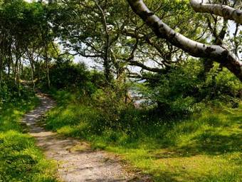 Hotel Parknasilla Resort & Spa