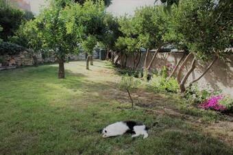 Bed & Breakfast Il Giardino Degli Aranci