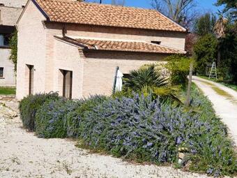 Apartment With One Bedroom In Montalto Delle Marche With Shared Pool And Wifi