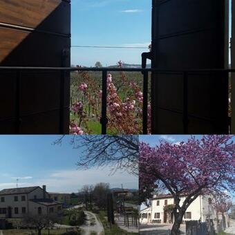 Agroturismo Fattoria Della Bilancia