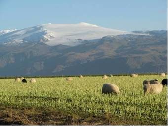 Hostal Guesthouse H�sid