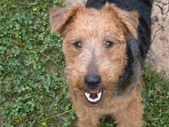 Apartamento Ns Suite Sauris