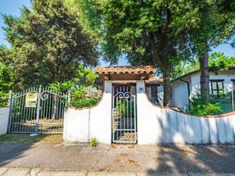 Locazione Turistica Cinghiali-1