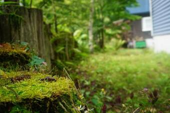 Kitakaruizawa Blue House - Vacation Stay 33115v