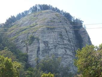 Lavender Garden Hotel