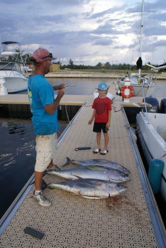 Apartamento Calypso Cove