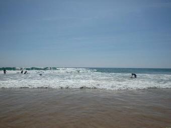 Hotel Swiss Residence Weligama