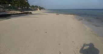 Perfect Stay On Octopus Up To 3 Bedrooms Apartment For Rent