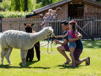 Holiday Home Europarcs Resort Zuiderzee-5