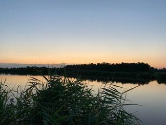 Bed & Breakfast Oude Postkantoor De Rijp