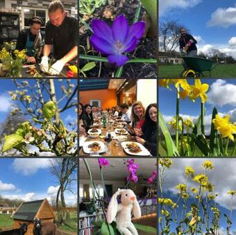 Boutique Hotel Villa Blauwhemel