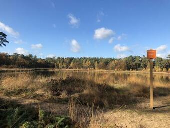 Grandeur Farmhouse In Dwingeloo At A National Park