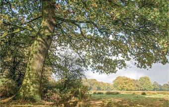 Four-bedroom Holiday Home In Vlagtwedde