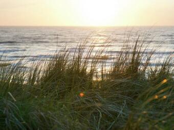 Rustic Bungalow In North Holland Near The Forest