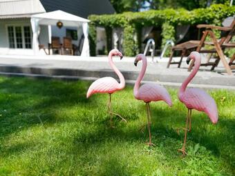 Fascinating Holiday Home In Wateren With Private Swimming Pool