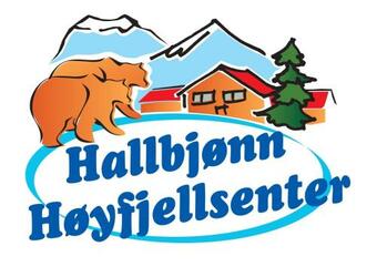 Apartamento Hallbj�nn H�yfjellsenter Hytte 4