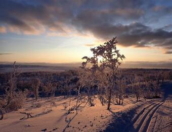 Varangertunet Bed & Breakfast