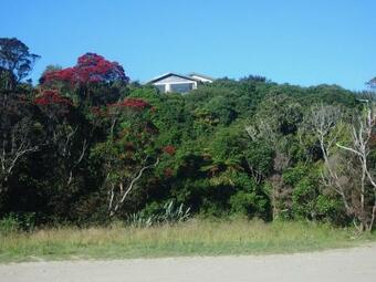 Papatowai Apartments