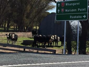 Ruakaka Sands - Ruakaka Holiday Home