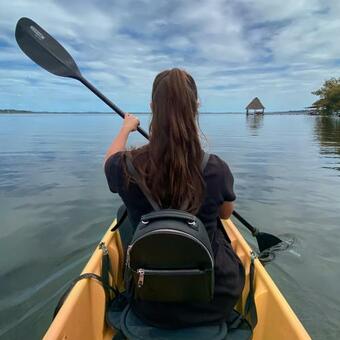 Hotel Dolphin Blue Paradise