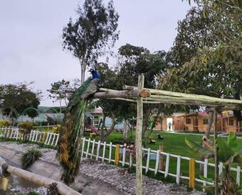 Albergue Apart Hotel El Para�so De Barranca