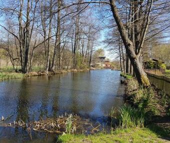 Go?ciniec Kaszubski Las, Ruda 3