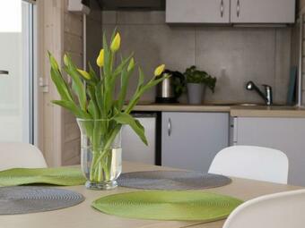 Cheerful Holiday Home In Lazy With Barbecue