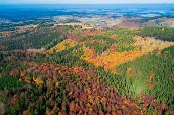 Apartamento U Podn�?a G�r Sowich