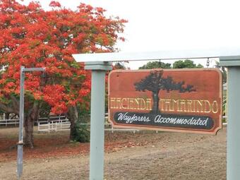 Hotel Hacienda Tamarindo