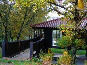 Great Tree House With Pool