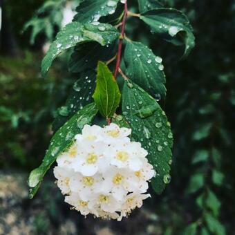 Agroturismo Casal Da Batoca Nature House