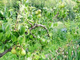 Villa With 3 Bedrooms In Lamego With Wonderful Mountain View Private Pool Enclosed Garden 120 Km From The Beach