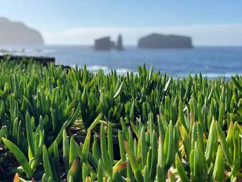 Casa Estrela Do Mar - Azorean Butler