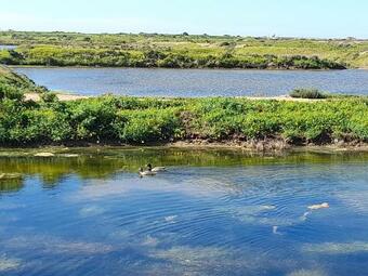 Privilege Casa Leorat