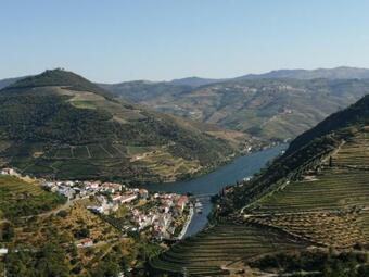 Hostel Douro Backpackers