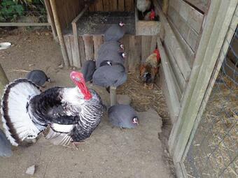 Agroturismo Sete Cidades Quinta Da Queir�