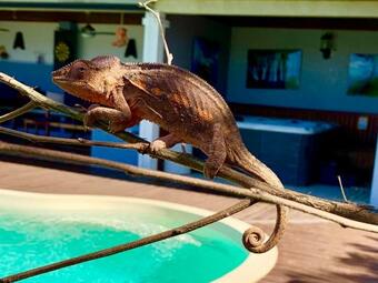 Hostal Paradis L� La