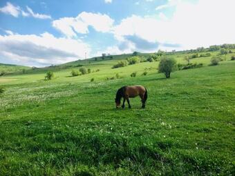 Hostal Dunesdorfer Pension