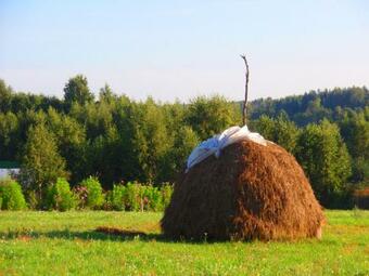 Eco Hotel Noviy Kovtcheg