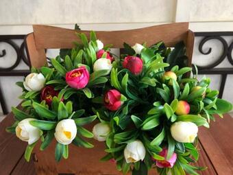 Posada ???????? ??? "?? ???????????" ???????? "??????"