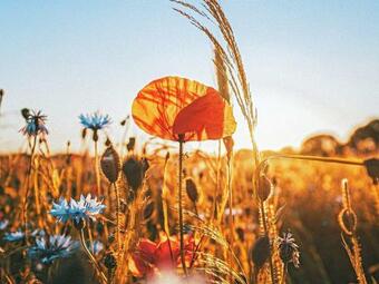 Holiday Home Bruzaholm