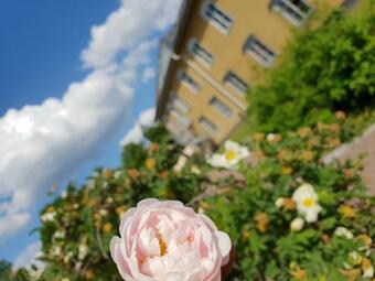 Hotel Hedemora Stadshotell