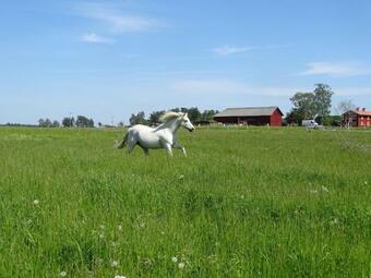 Broby Bed & Breakfast