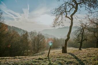 Sr?na, A Beautiful Log Cabin With Amazing View
