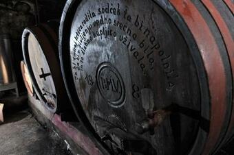 Vineyard Cottage Vrbek